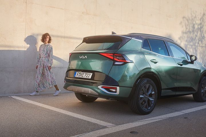 Bold & daring in nature image