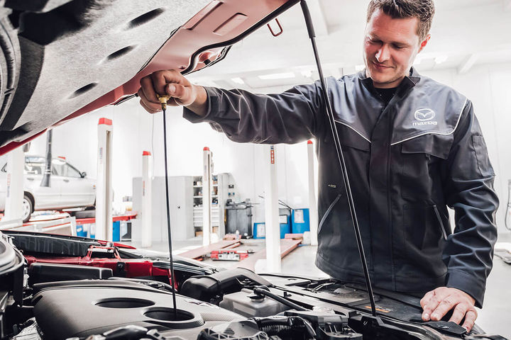 Complimentary Vehicle Health Check image