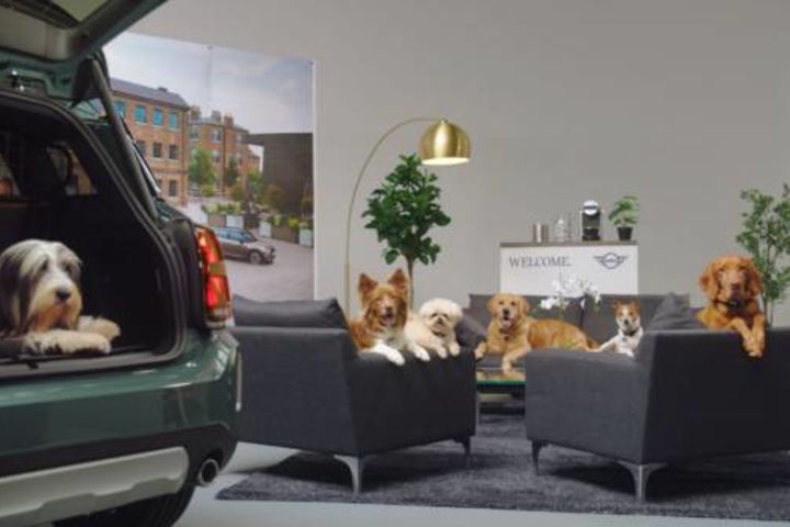 MINI SHOWROOMS. A DOG’S BEST FRIEND. image