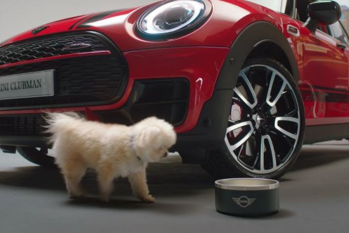 A PAW-FECT PARTNERSHIP WITH DOGS TRUST. image