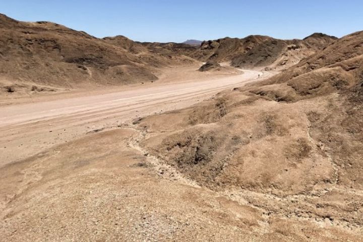 International qualifier image