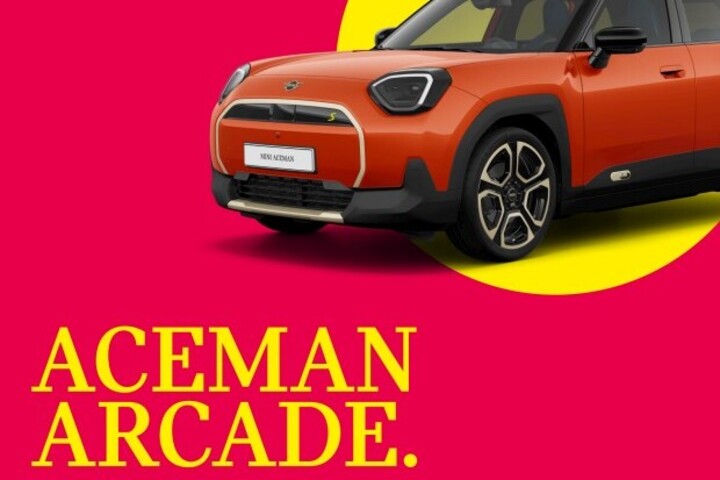 ACEMAN ARCADE. image