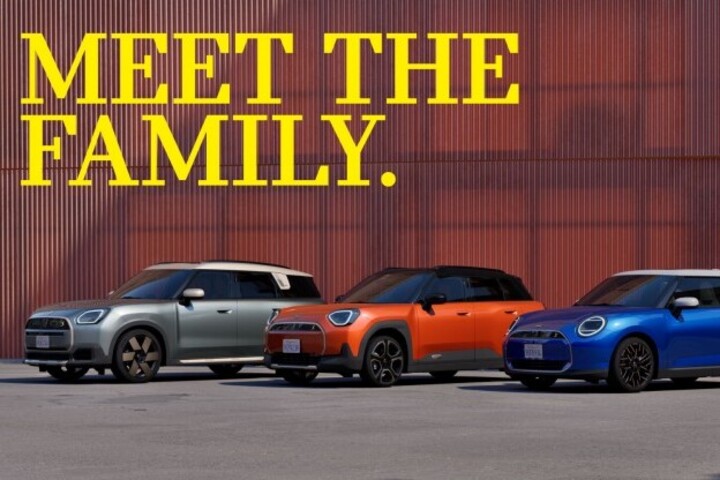 MEET THE FAMILY. image