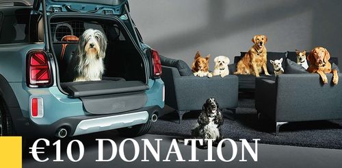 Joe Duffy MINI Dog's Trust Fundraiser - Test Drive Event image