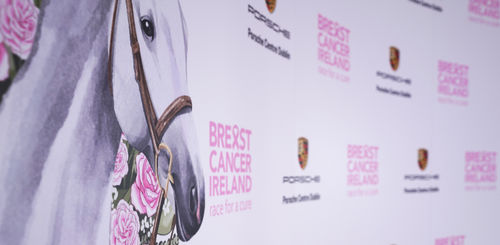 Breast Cancer Ireland - Race for a Cure! image
