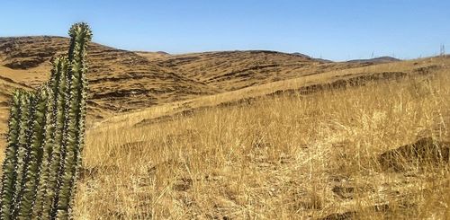 The International GS Trophy 2024 image