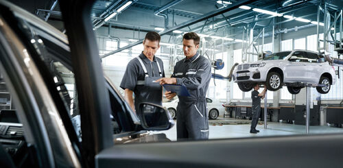 Vehicle Protection image