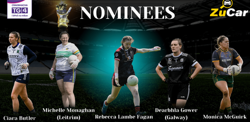 Nominees for the 2024 ZuCar Golden Glove award announced image