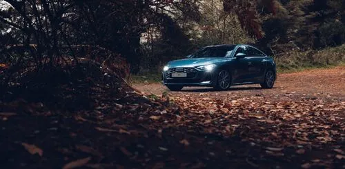 Audi A5 image