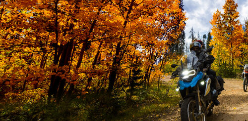 BMW Motorrad Autumn Service Offer image