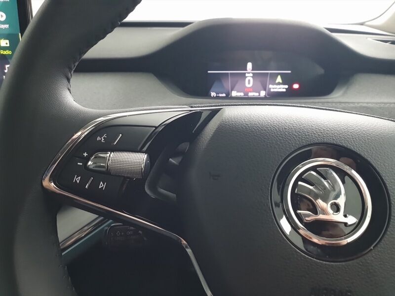 More views of Skoda Enyaq