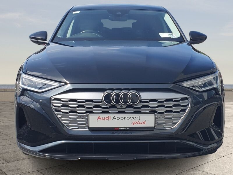 More views of Audi Q8 e-tron