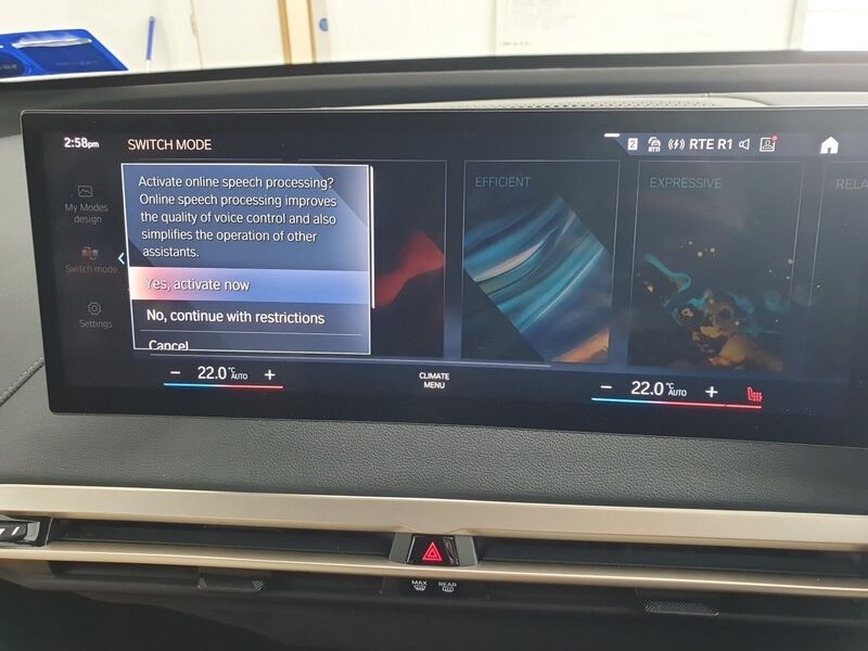 More views of BMW IX