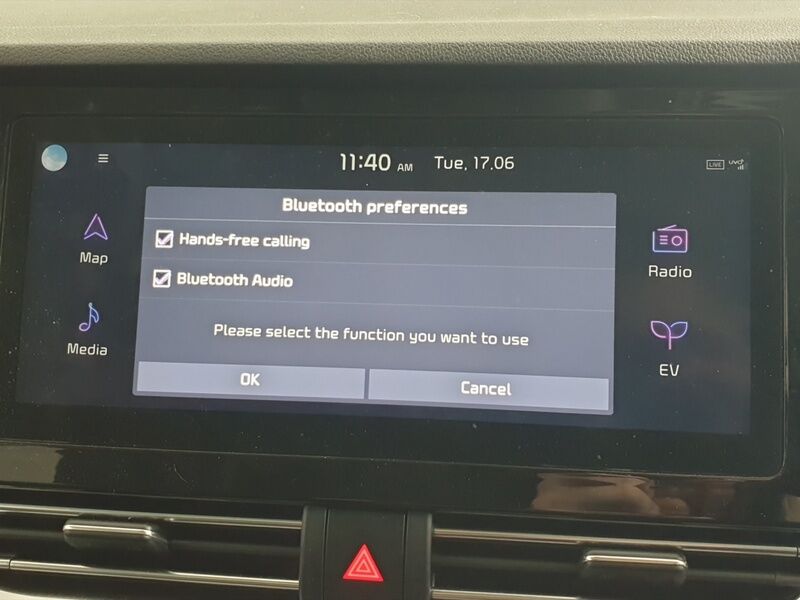 More views of Kia E-Niro