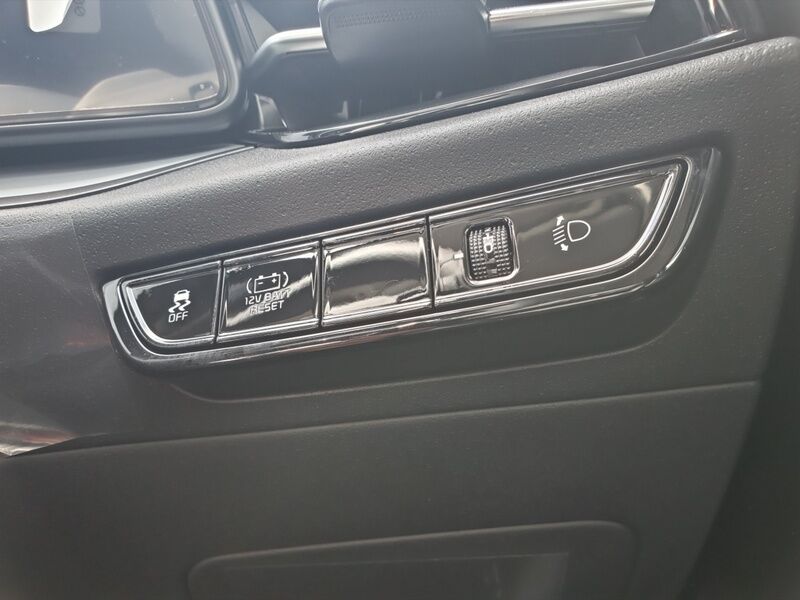 More views of Kia Niro