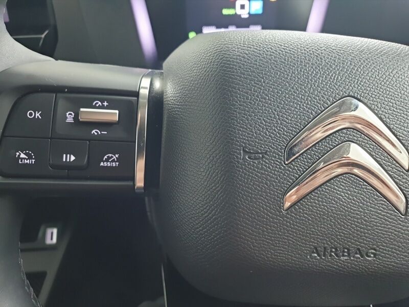 More views of Citroen E-C4 X 