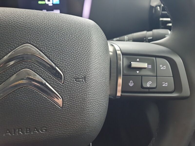 More views of Citroen E-C4 X 