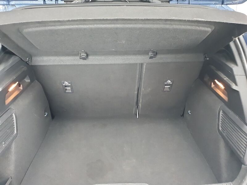 More views of Ford Focus