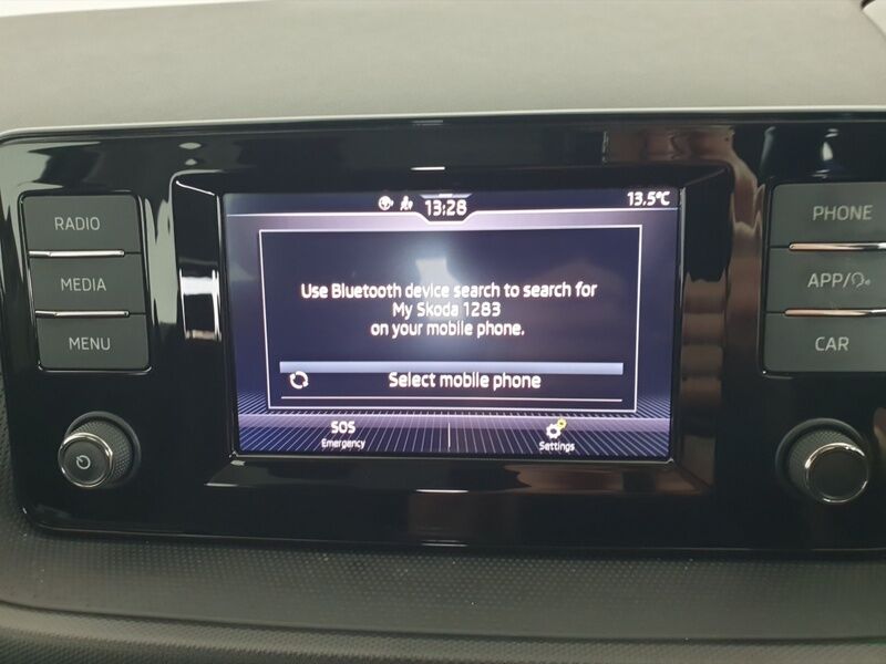 More views of Skoda Fabia