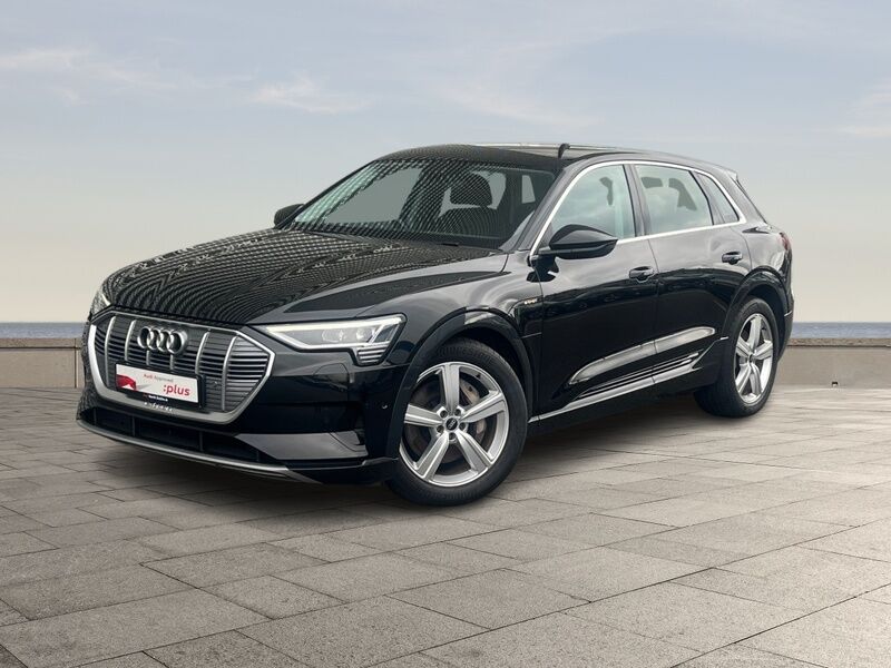 More views of Audi E-Tron