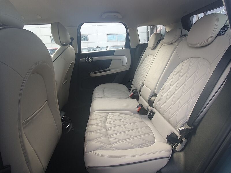 More views of MINI countryman