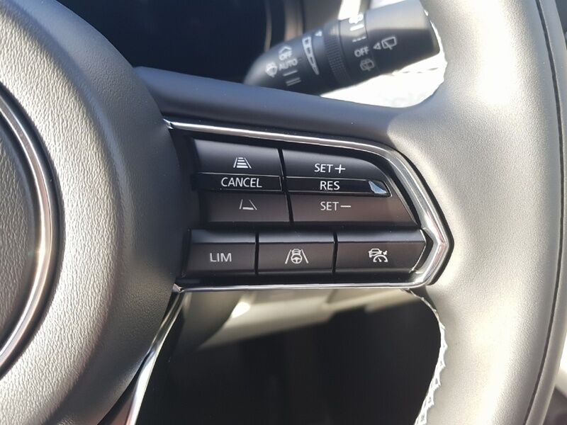 More views of Mazda CX-80