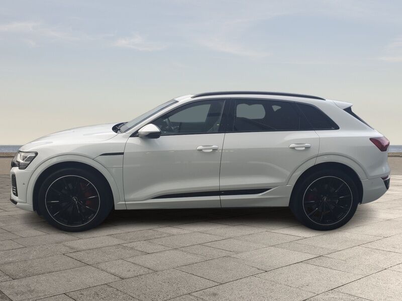 More views of Audi Q8 e-tron