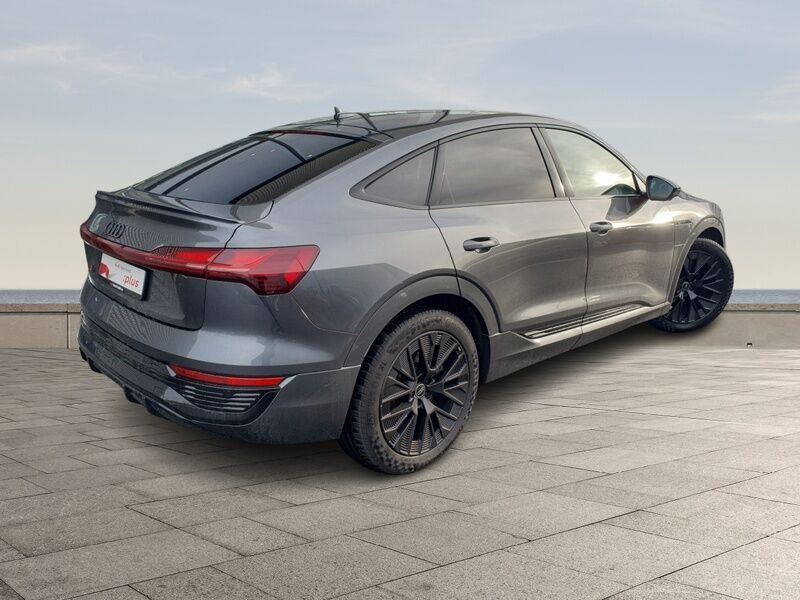 More views of Audi Q8 e-tron