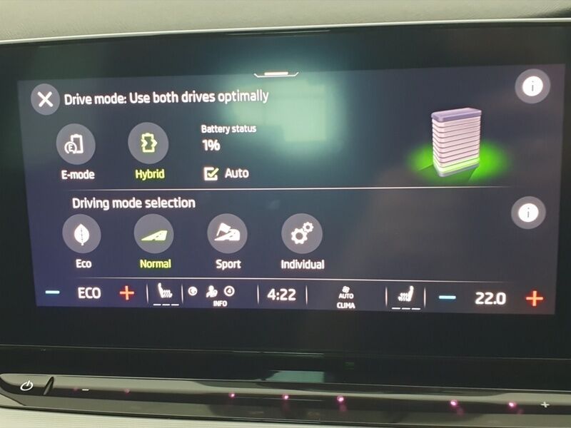 More views of Skoda Octavia