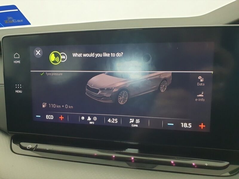 More views of Skoda Octavia