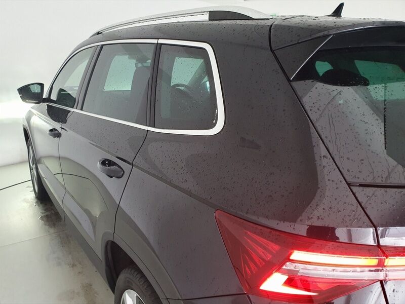 More views of Skoda Karoq