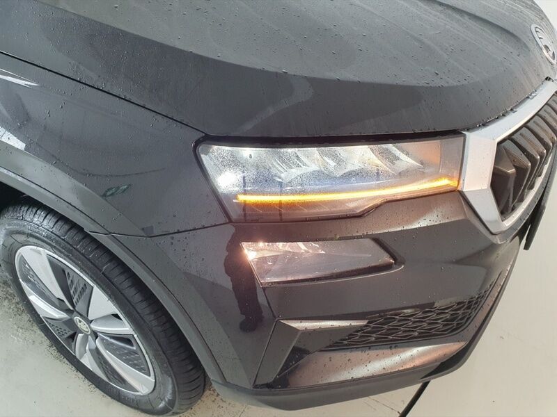 More views of Skoda Karoq