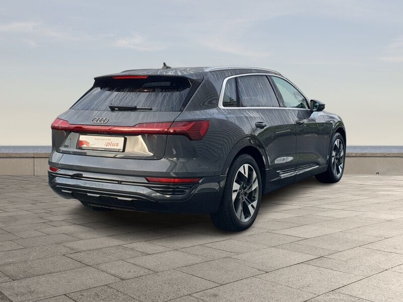 More views of Audi Q8 e-tron