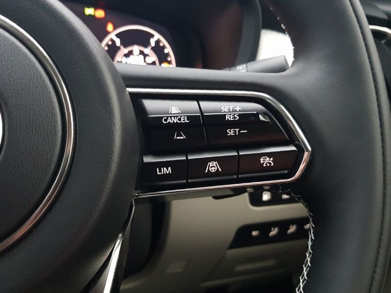 More views of Mazda CX-80