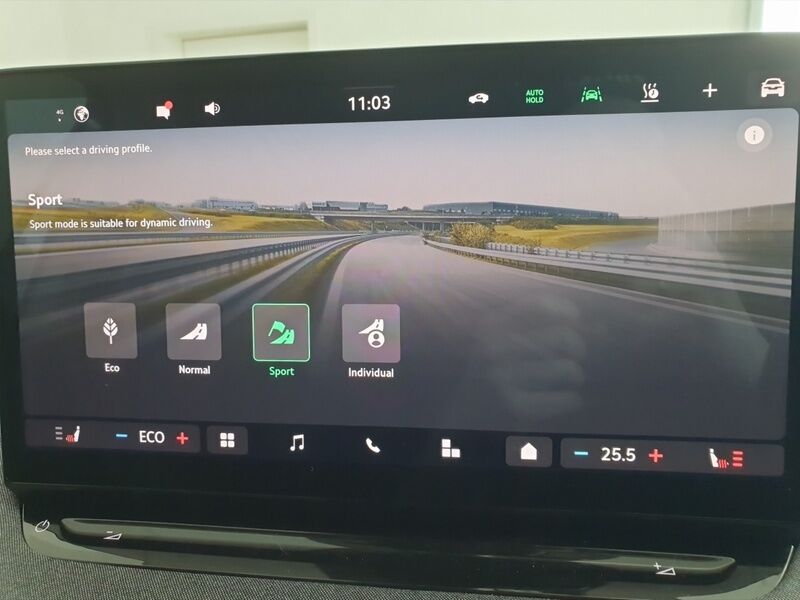 More views of Skoda Enyaq