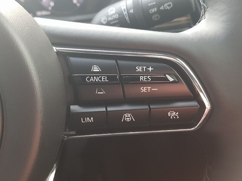 More views of Mazda CX-80