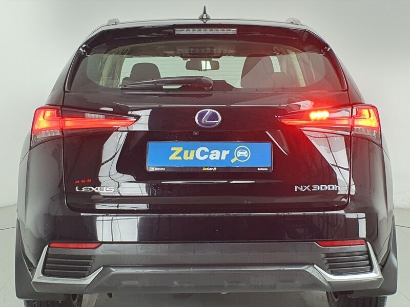 More views of Lexus NX