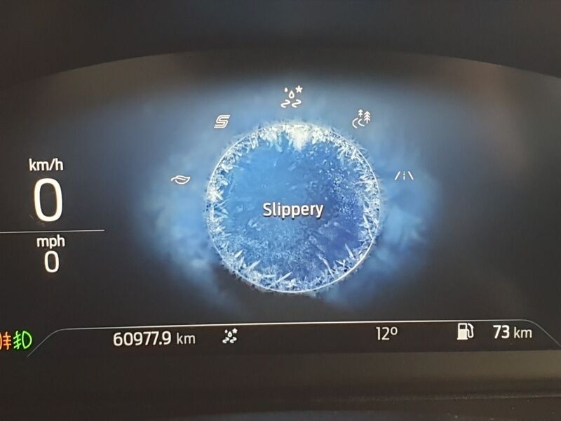 More views of Ford Puma