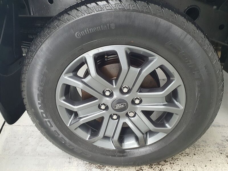 More views of Ford Ranger