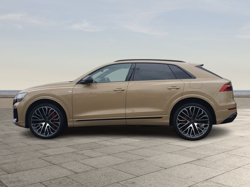 More views of Audi Q8