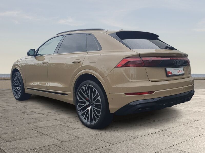 More views of Audi Q8