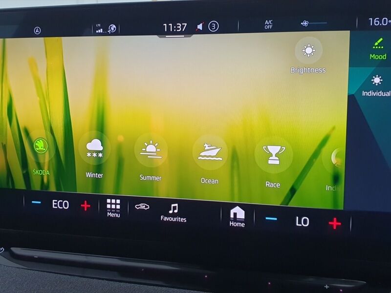 More views of Skoda Enyaq