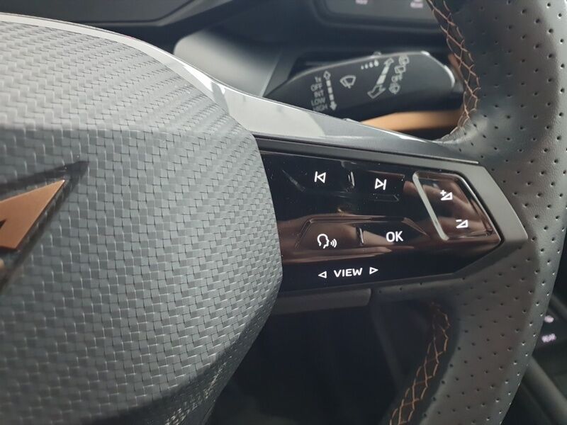 More views of Cupra Born