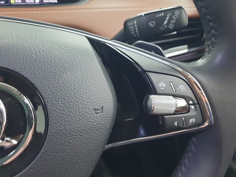 More views of Skoda Enyaq