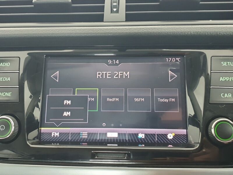 More views of Skoda Fabia