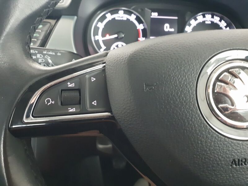 More views of Skoda Fabia