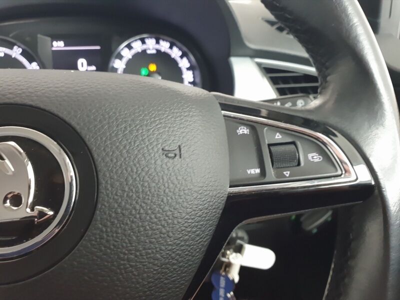 More views of Skoda Fabia