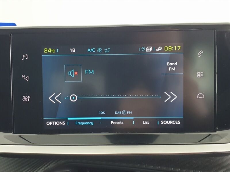 More views of Peugeot 208