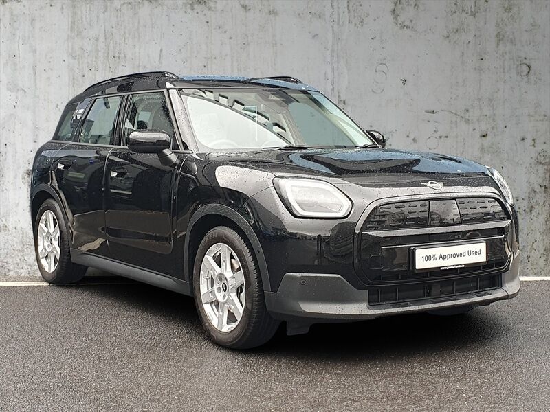 More views of Mini Countryman